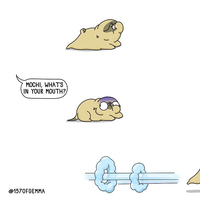 Life-With-Pug-Mochi-Comic-Gemma-Gene-157ofgemma