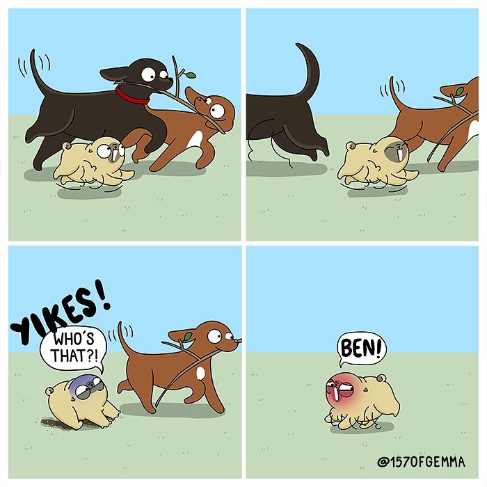 Life-With-Pug-Mochi-Comic-Gemma-Gene-157ofgemma