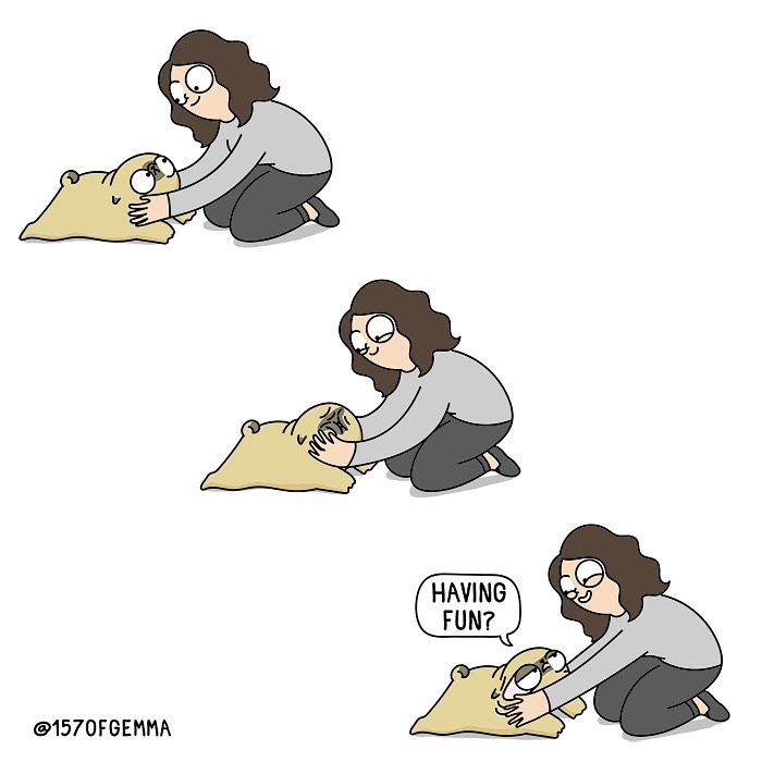 Life-With-Pug-Mochi-Comic-Gemma-Gene-157ofgemma
