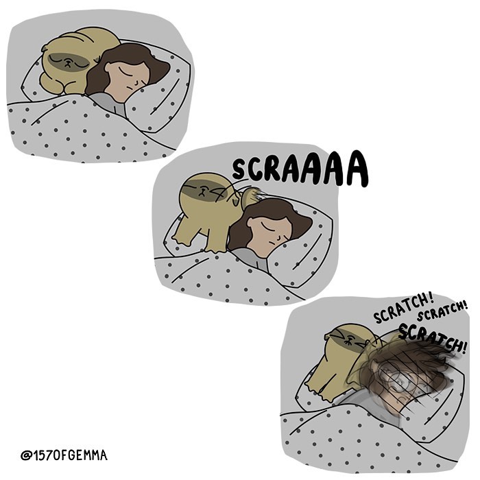 Life-With-Pug-Mochi-Comic-Gemma-Gene-157ofgemma