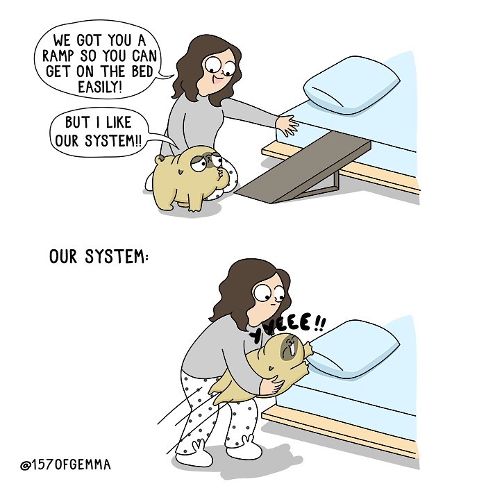 Life-With-Pug-Mochi-Comic-Gemma-Gene-157ofgemma