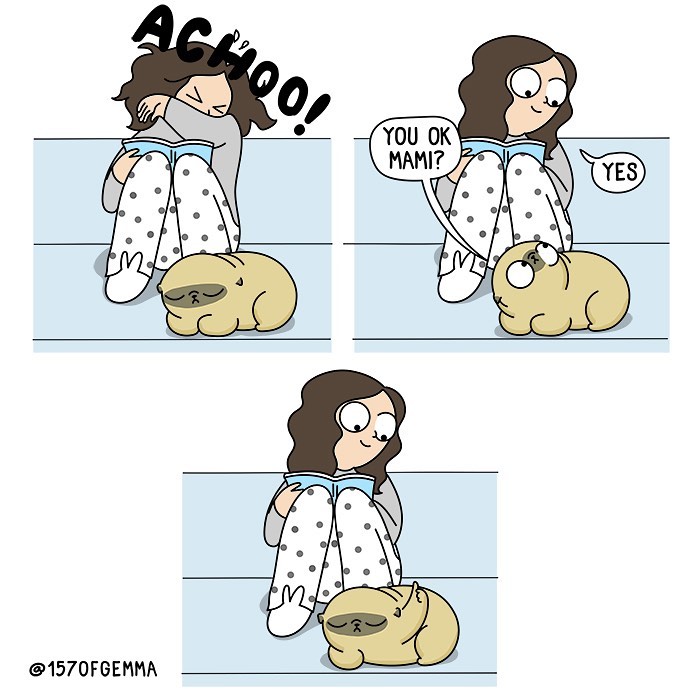 Life-With-Pug-Mochi-Comic-Gemma-Gene-157ofgemma