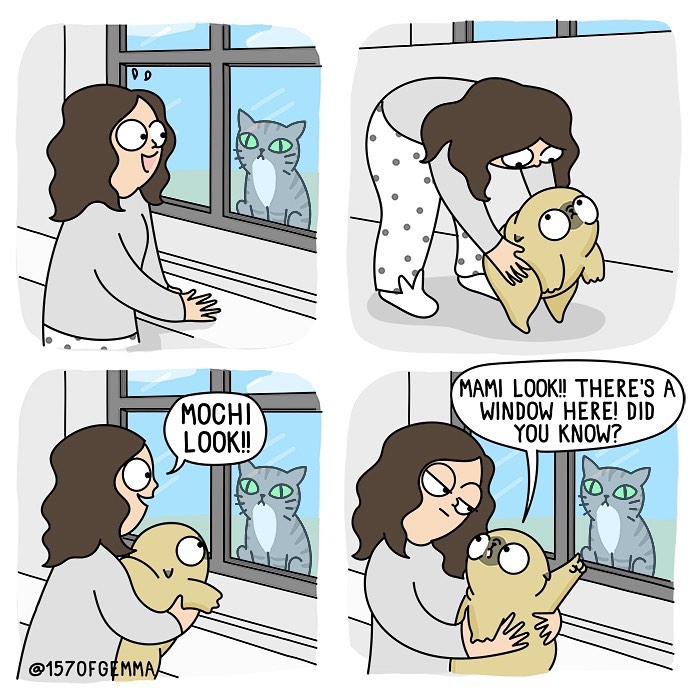 Life-With-Pug-Mochi-Comic-Gemma-Gene-157ofgemma