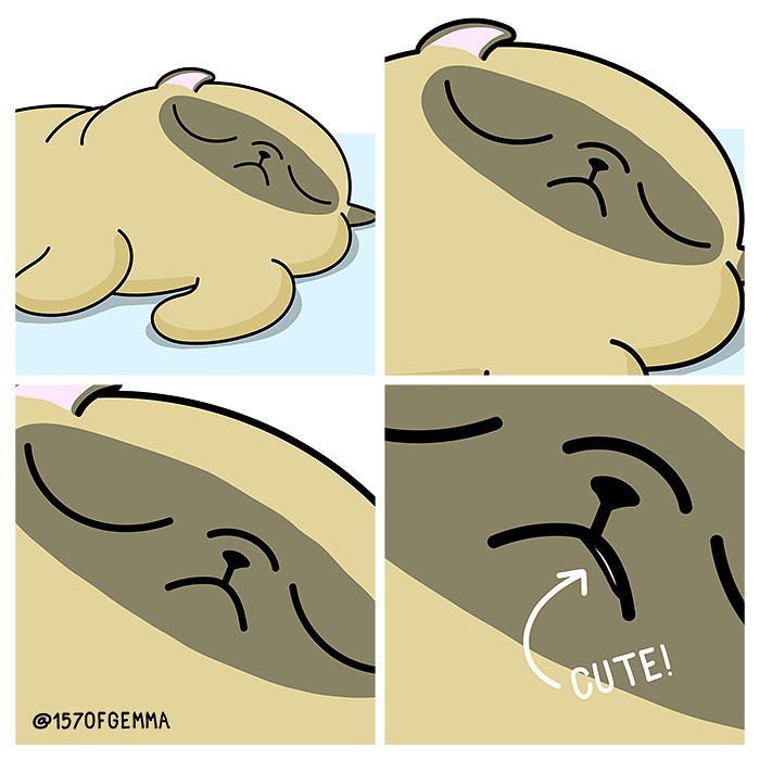 Life-With-Pug-Mochi-Comic-Gemma-Gene-157ofgemma