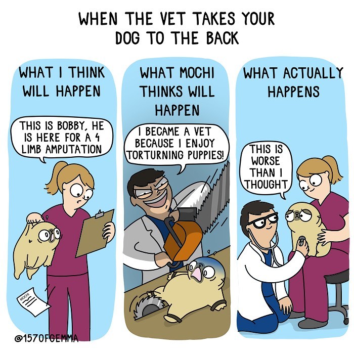 Life-With-Pug-Mochi-Comic-Gemma-Gene-157ofgemma