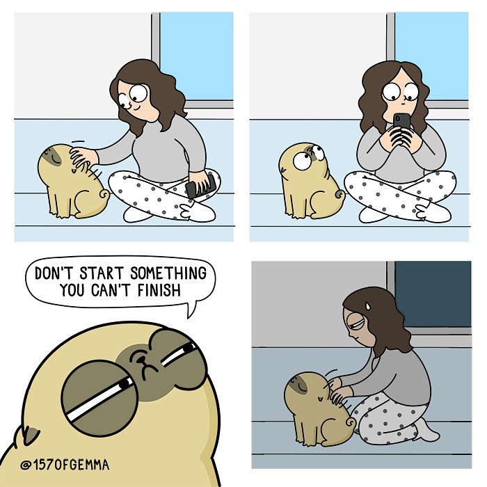 Life-With-Pug-Mochi-Comic-Gemma-Gene-157ofgemma