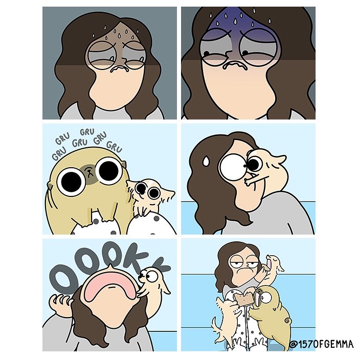 Life-With-Pug-Mochi-Comic-Gemma-Gene-157ofgemma