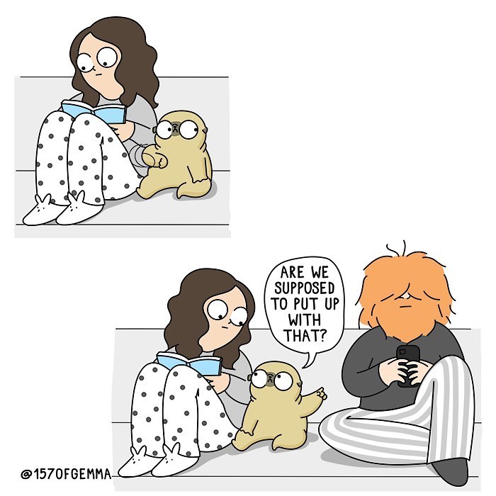 Life-With-Pug-Mochi-Comic-Gemma-Gene-157ofgemma