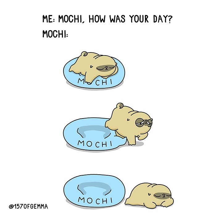 Life-With-Pug-Mochi-Comic-Gemma-Gene-157ofgemma