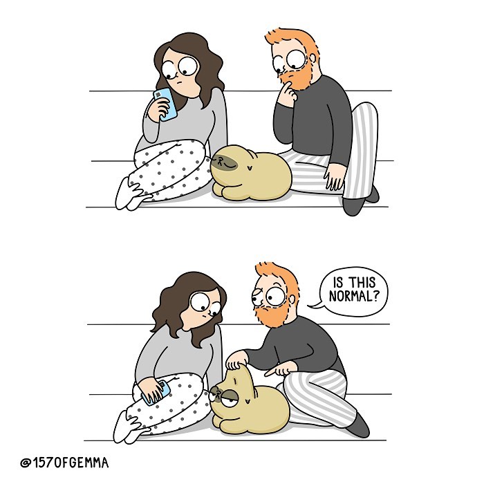 Life-With-Pug-Mochi-Comic-Gemma-Gene-157ofgemma