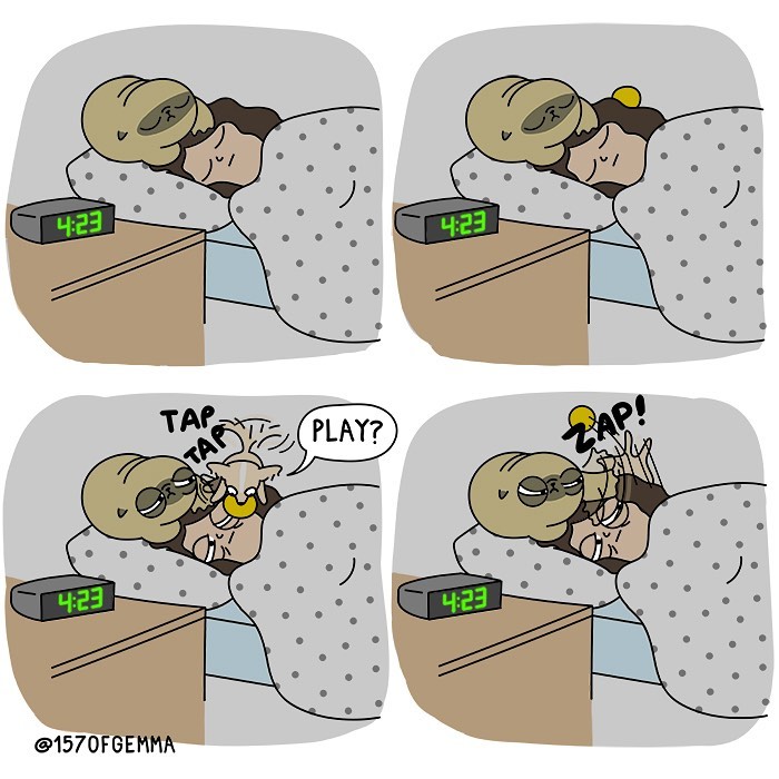 Life-With-Pug-Mochi-Comic-Gemma-Gene-157ofgemma