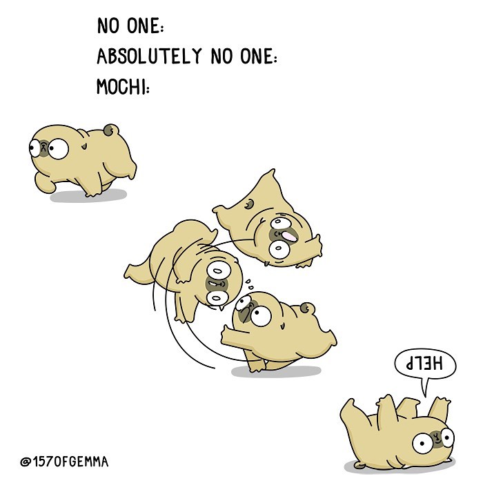 Life-With-Pug-Mochi-Comic-Gemma-Gene-157ofgemma