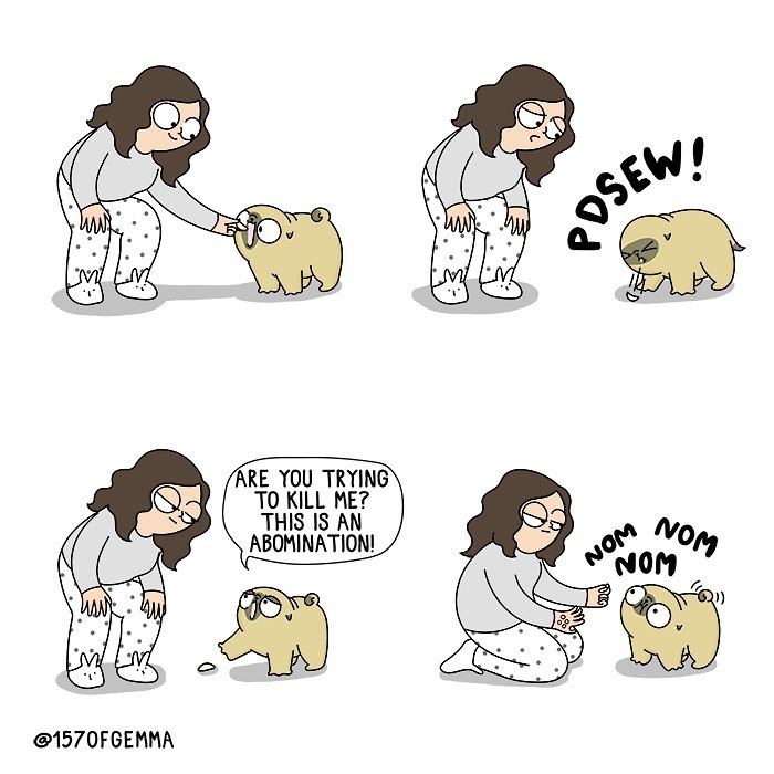 Life-With-Pug-Mochi-Comic-Gemma-Gene-157ofgemma