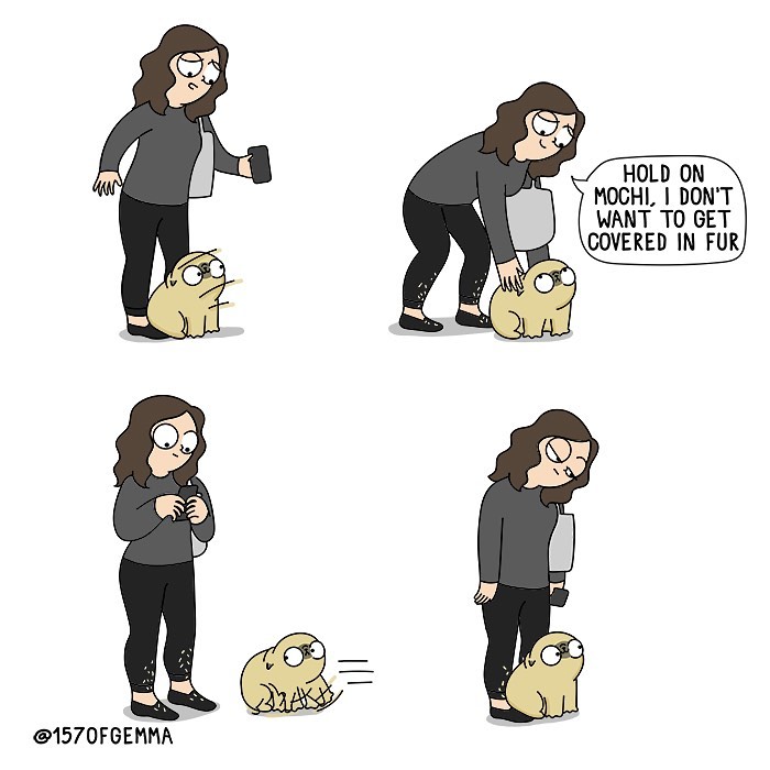 Life-With-Pug-Mochi-Comic-Gemma-Gene-157ofgemma