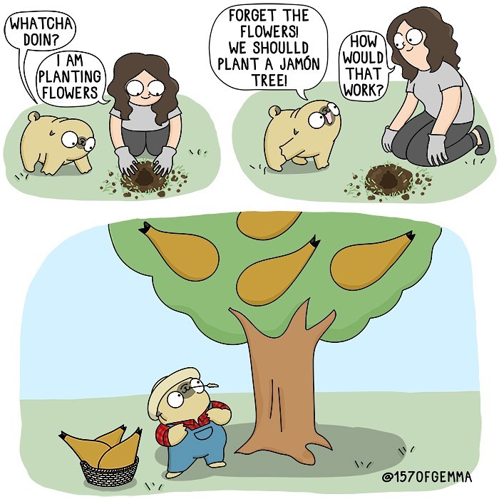 Life-With-Pug-Mochi-Comic-Gemma-Gene-157ofgemma