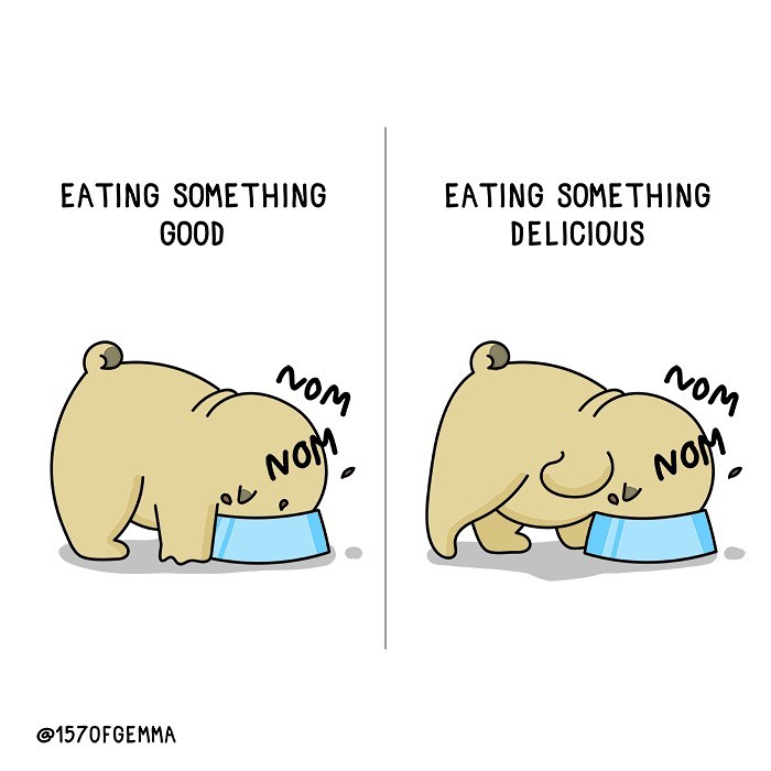 Life-With-Pug-Mochi-Comic-Gemma-Gene-157ofgemma