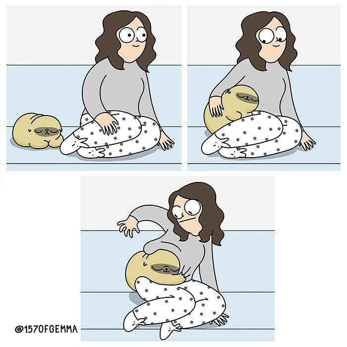 Life-With-Pug-Mochi-Comic-Gemma-Gene-157ofgemma