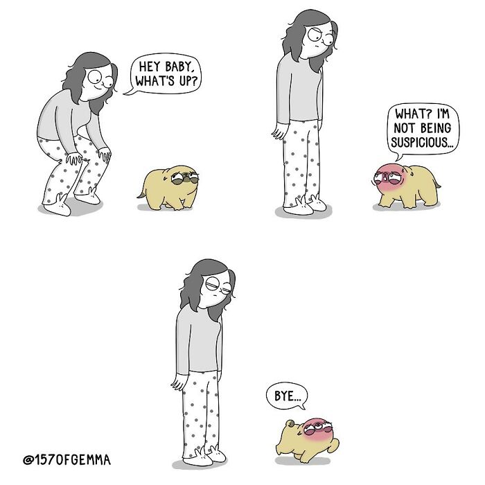 Life-With-Pug-Mochi-Comic-Gemma-Gene-157ofgemma