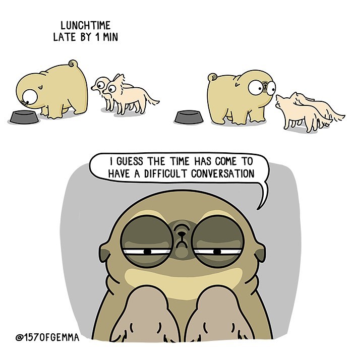 Life-With-Pug-Mochi-Comic-Gemma-Gene-157ofgemma