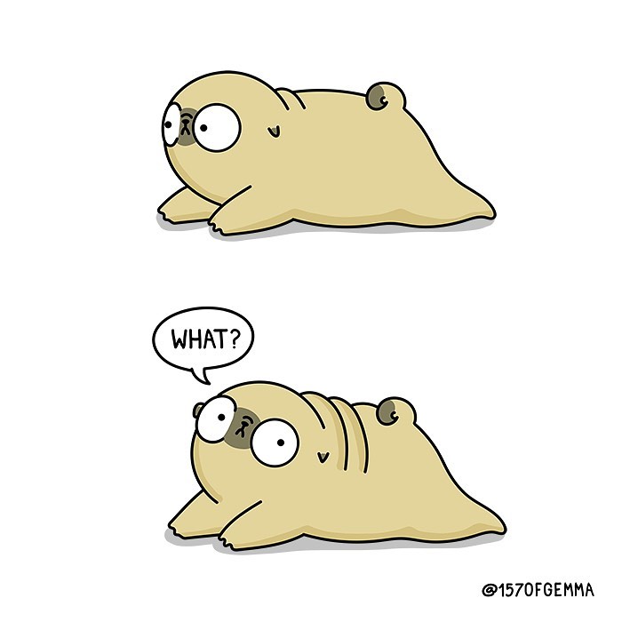 Life-With-Pug-Mochi-Comic-Gemma-Gene-157ofgemma