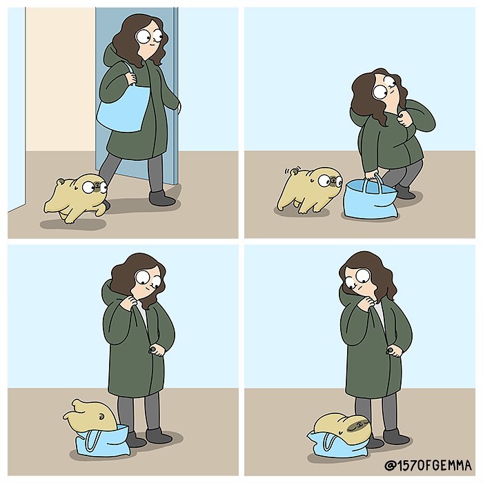 Life-With-Pug-Mochi-Comic-Gemma-Gene-157ofgemma