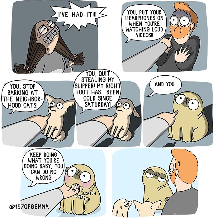 Life-With-Pug-Mochi-Comic-Gemma-Gene-157ofgemma