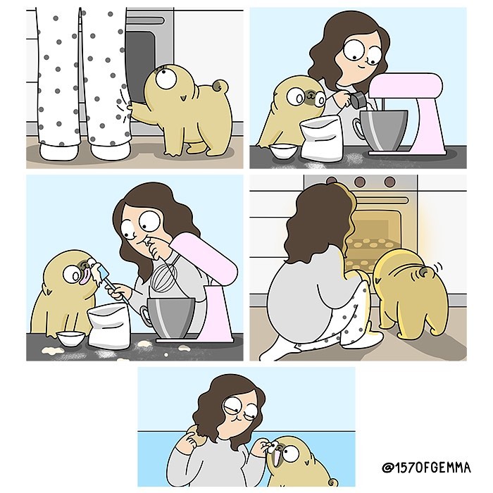 Life-With-Pug-Mochi-Comic-Gemma-Gene-157ofgemma