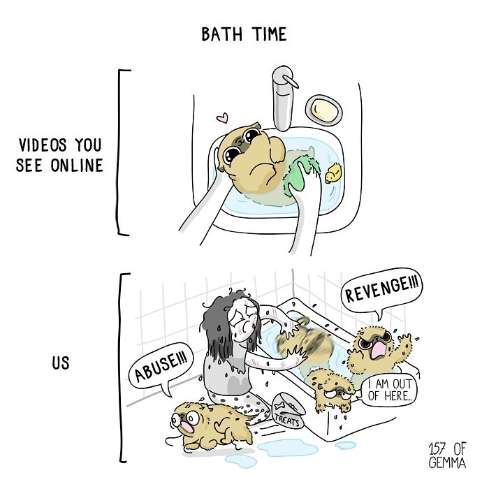 Life-With-Pug-Mochi-Comic-Gemma-Gene-157ofgemma