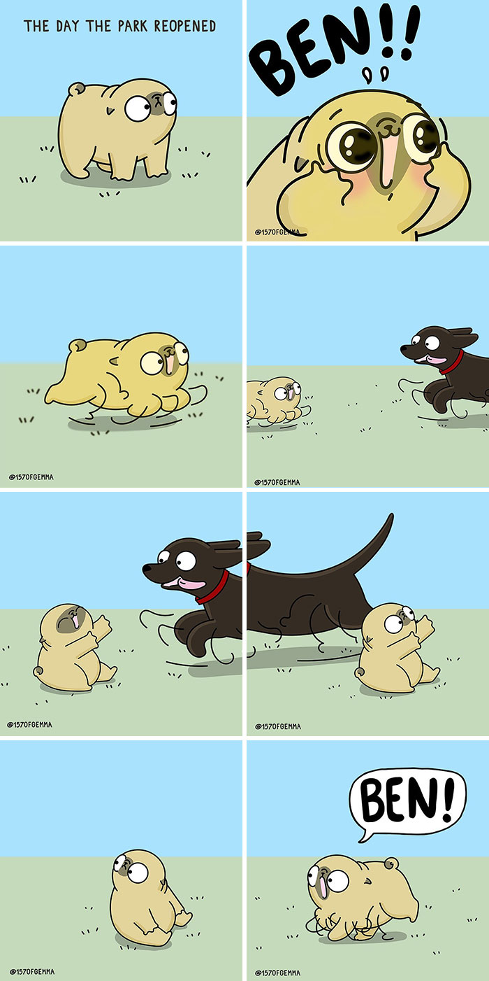 Life-With-Pug-Mochi-Comic-Gemma-Gene-157ofgemma