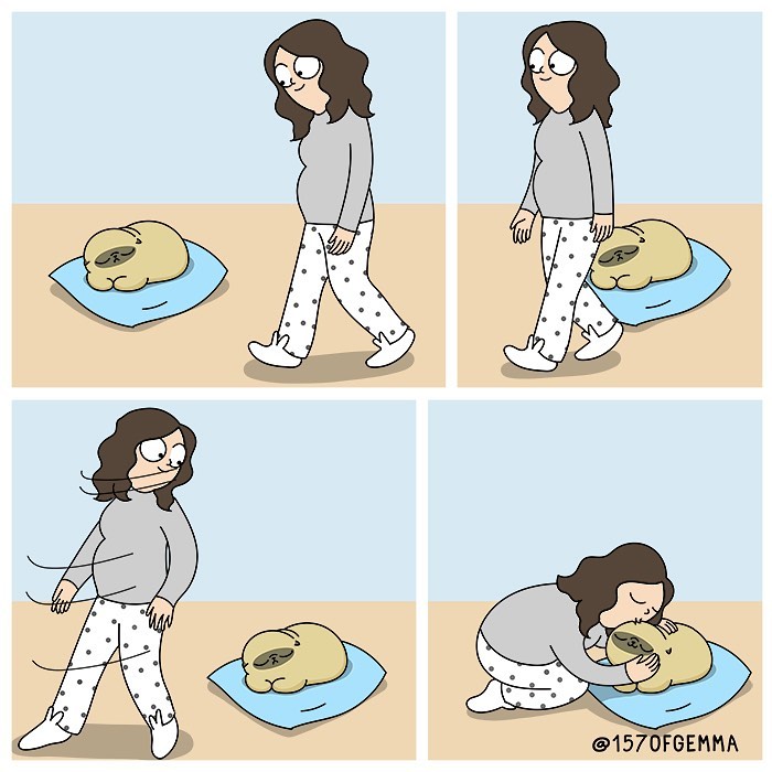 Life-With-Pug-Mochi-Comic-Gemma-Gene-157ofgemma