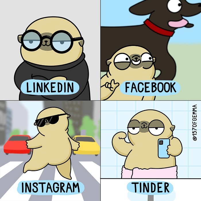 Life-With-Pug-Mochi-Comic-Gemma-Gene-157ofgemma