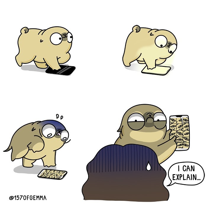 Life-With-Pug-Mochi-Comic-Gemma-Gene-157ofgemma