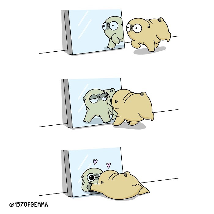 Life-With-Pug-Mochi-Comic-Gemma-Gene-157ofgemma