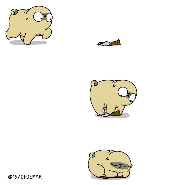 Life-With-Pug-Mochi-Comic-Gemma-Gene-157ofgemma