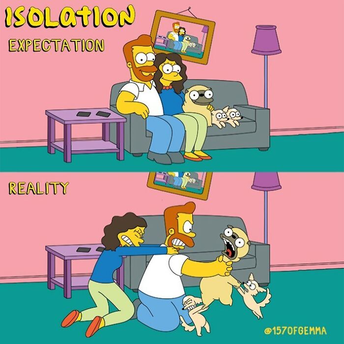 Life-With-Pug-Mochi-Comic-Gemma-Gene-157ofgemma