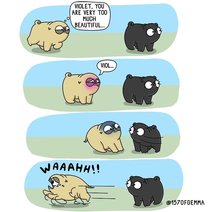 Life-With-Pug-Mochi-Comic-Gemma-Gene-157ofgemma