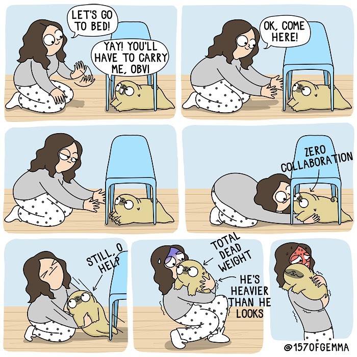 Life-With-Pug-Mochi-Comic-Gemma-Gene-157ofgemma