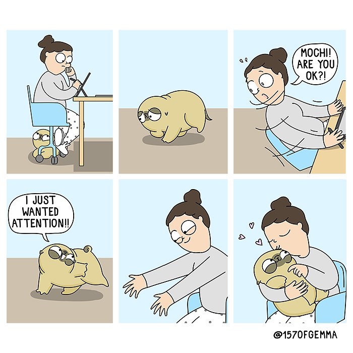 Life-With-Pug-Mochi-Comic-Gemma-Gene-157ofgemma