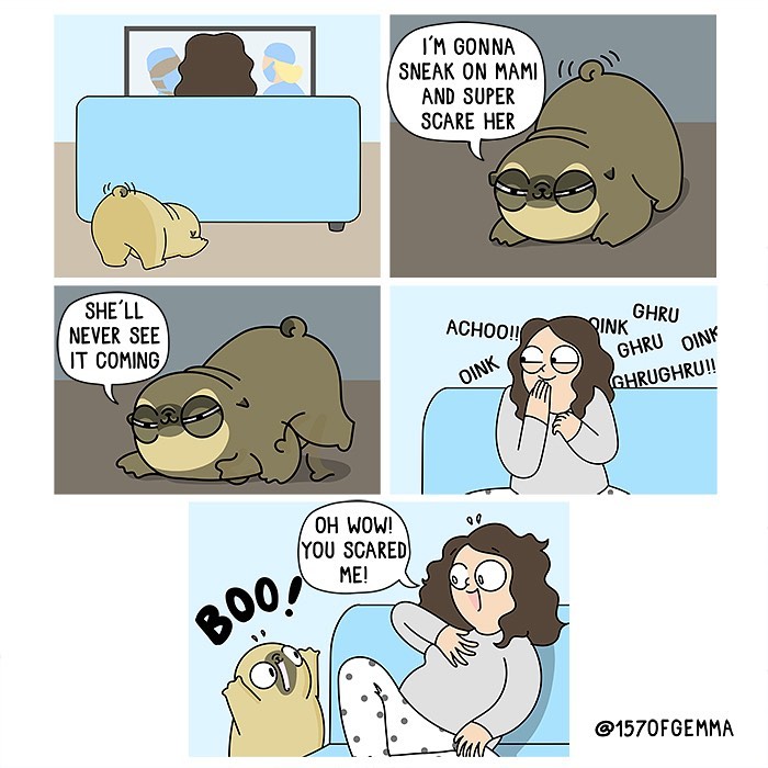 Life-With-Pug-Mochi-Comic-Gemma-Gene-157ofgemma