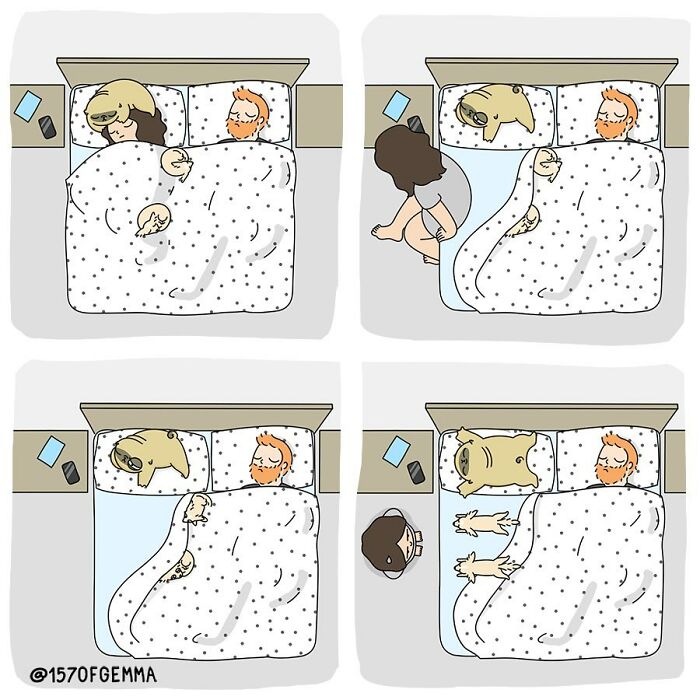 Life-With-Pug-Mochi-Comic-Gemma-Gene-157ofgemma