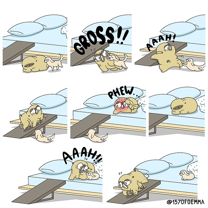 Life-With-Pug-Mochi-Comic-Gemma-Gene-157ofgemma