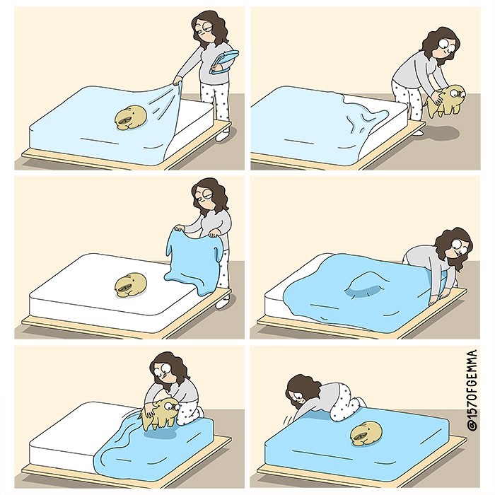 Life-With-Pug-Mochi-Comic-Gemma-Gene-157ofgemma