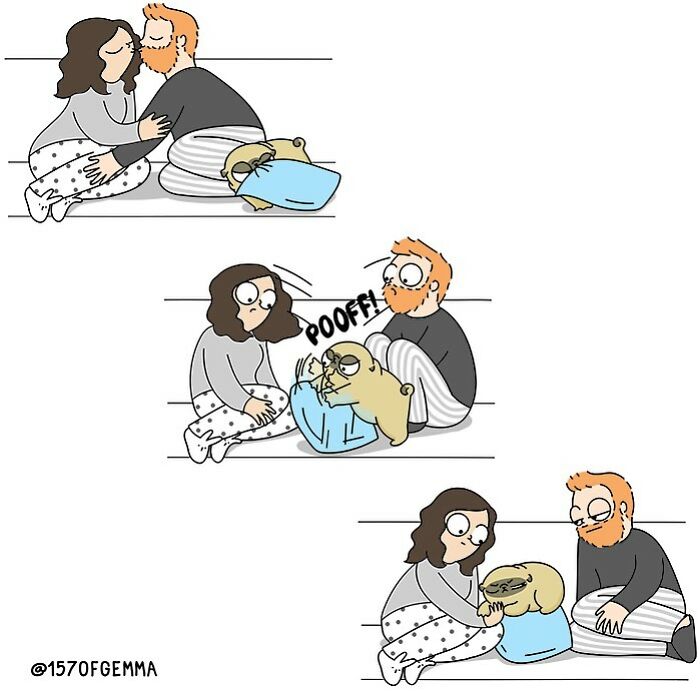 Life-With-Pug-Mochi-Comic-Gemma-Gene-157ofgemma