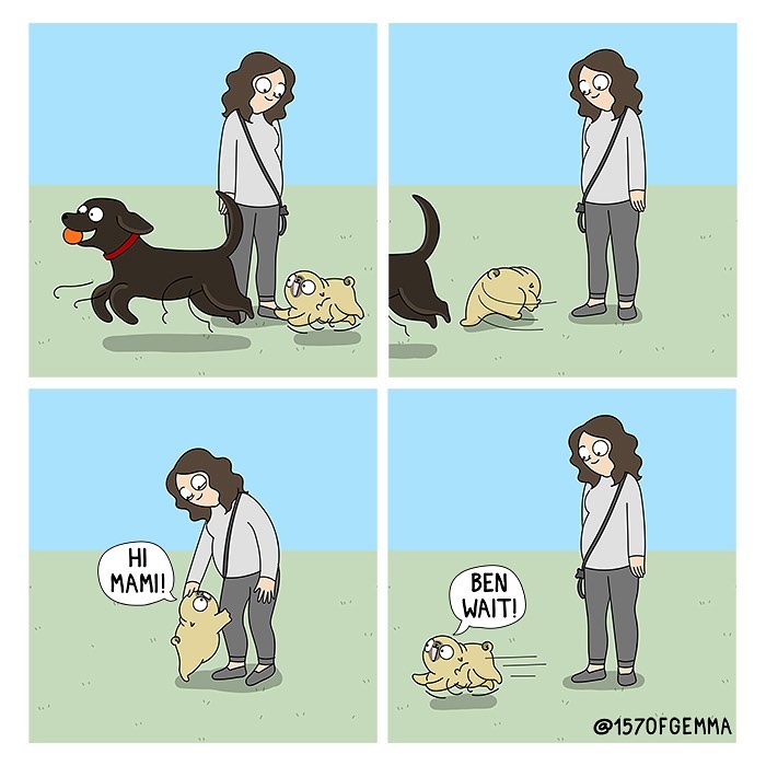 Life-With-Pug-Mochi-Comic-Gemma-Gene-157ofgemma