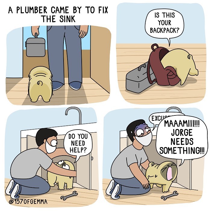 Life-With-Pug-Mochi-Comic-Gemma-Gene-157ofgemma