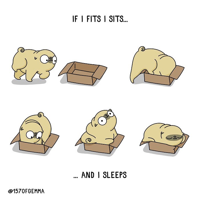 Life-With-Pug-Mochi-Comic-Gemma-Gene-157ofgemma