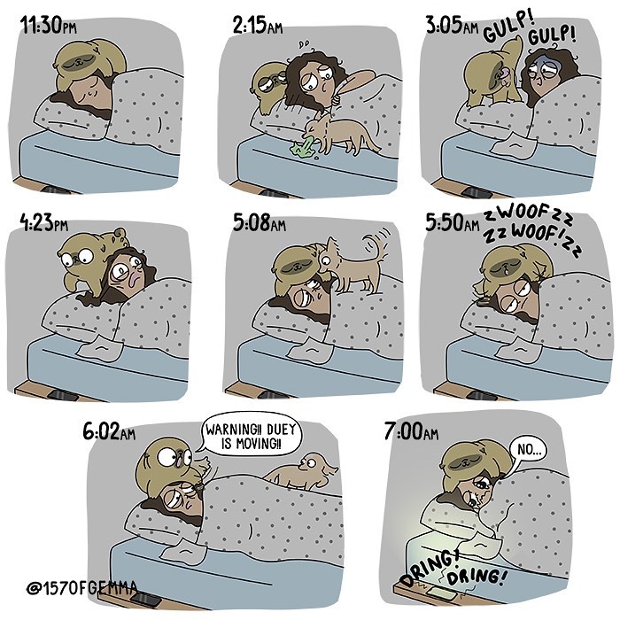 Life-With-Pug-Mochi-Comic-Gemma-Gene-157ofgemma