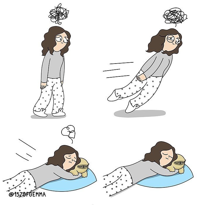 Life-With-Pug-Mochi-Comic-Gemma-Gene-157ofgemma