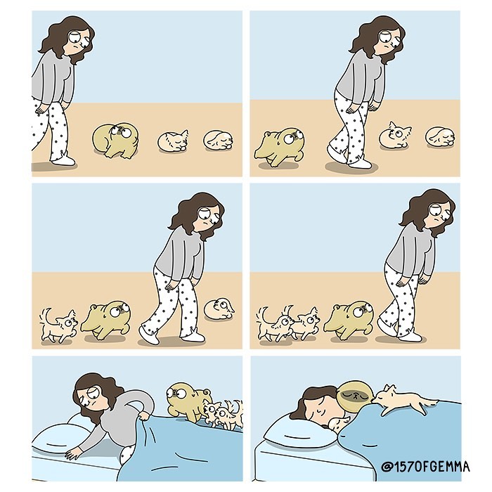 Life-With-Pug-Mochi-Comic-Gemma-Gene-157ofgemma