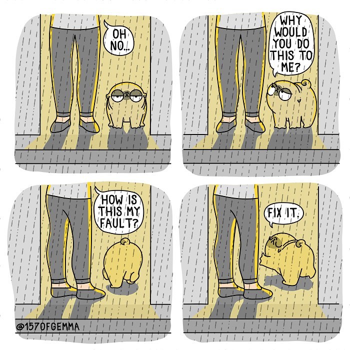 Life-With-Pug-Mochi-Comic-Gemma-Gene-157ofgemma